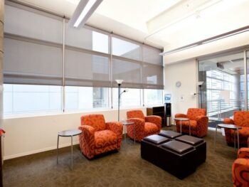 Solar roller shades filtering sunlight in a Johnson County home