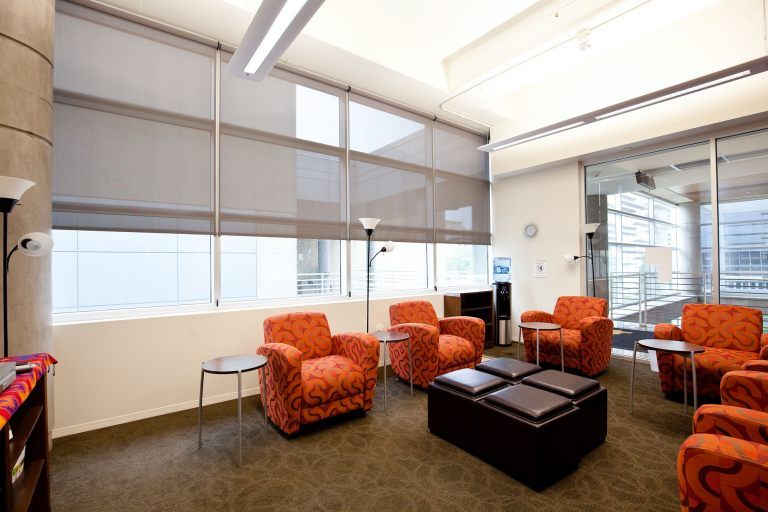 Solar roller shades filtering sunlight in a Johnson County home
